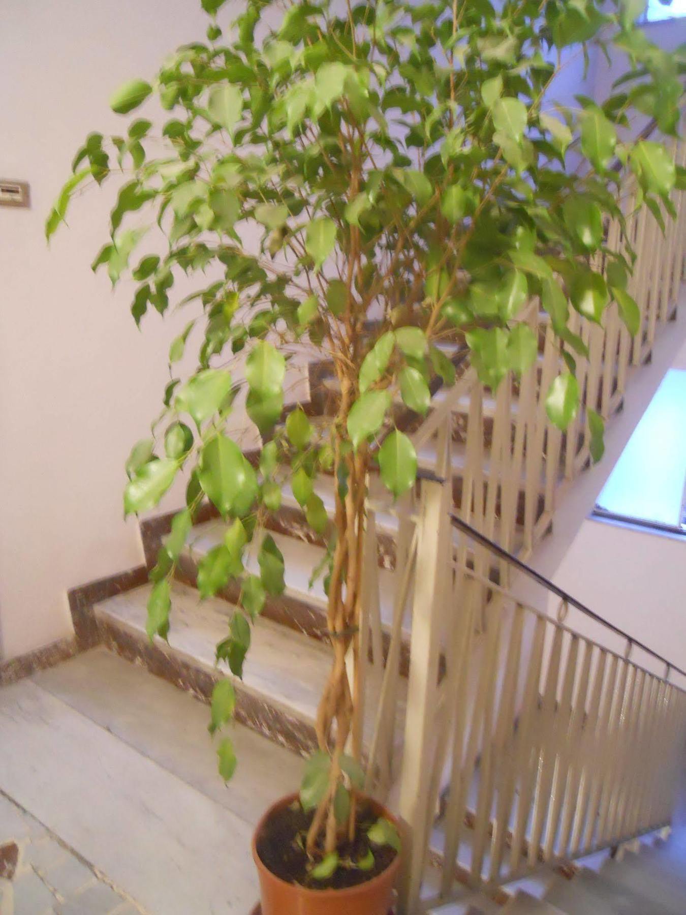 Catania Crossing B&B - Rooms & Comforts Dış mekan fotoğraf